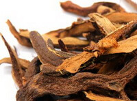 brownish dried herb root slices of Furtune Drynaria Rhizome are piled together