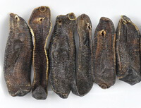 dried dark brownish herb of Leech