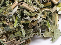 segmenti di erba essiccata di erba motherwort