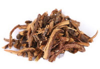Rhizoma Drynariae