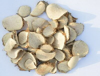 Rhizoma Sparganii