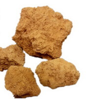 quatre blocs kaki de Terra Flava Usta