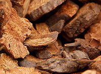 dried brown herb slices of Garden Burnet Root are piled together