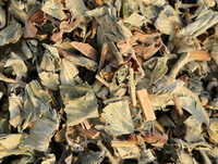 dried herb segments and pieces of Hairvein Agrimonia Herb