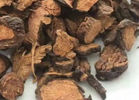 dried brownish herb segments of Radix Sanguisorbae
