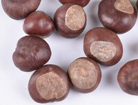 diversi semi di occhio di bue color cioccolato