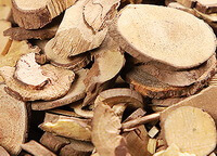 dried pale yellowish herb slices of Combined Spicebush Root