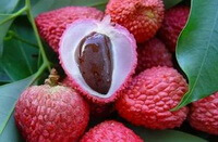 fresh fruits of Litchi chinensis Sonn with pink shells.