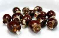 brownish fruit kernels of Litchi chinensis Sonn.