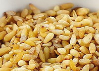 molti gherigli gialli di semi di arborvita cinese