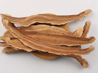 Ganoderma Lucidium
