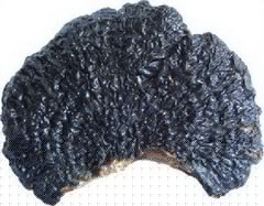 a piece of black mushroom of Ganoderma capense Lloyd D.A.Reid.