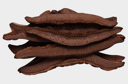tranches d herbes de ganoderma pourpre