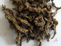 Rhizoma Valerianae