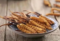 many brownish herbs of Cordyceps sinensis Berk Sacc are placed in a small plate
