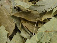 dried green yellow prepared herb leaves of Epimedium pubesens Maxim.