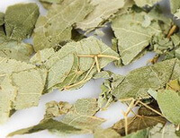 dried pale greenish yellow prepared leaves of Epimedium wushanense in a pile