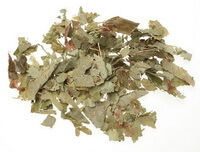 brownish herb leaf pieces of Herba Epimedii