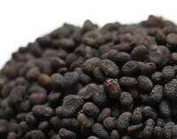 many dried dark brown blackish herb seeds of Fructus Psoraleae are piled together