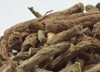 dried brownish root segments of Rhizoma Curculiginis
