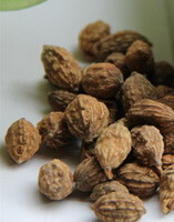 brownish dried herb seeds of Sharpleaf Galangal Seed
