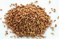 brownish herb seeds of Semen Trigonellae in a pile