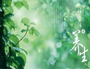 TCM Health Preservation