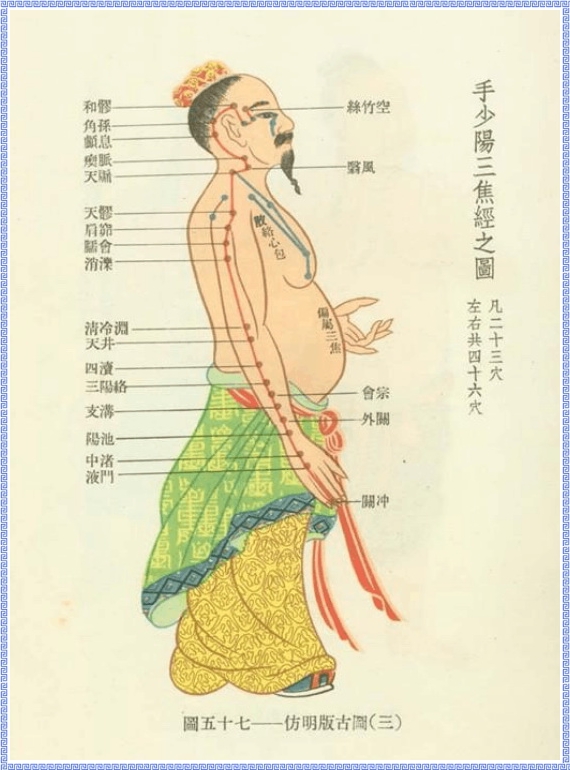 Graph of Triple Energizer Meridian of Hand Shaoyang