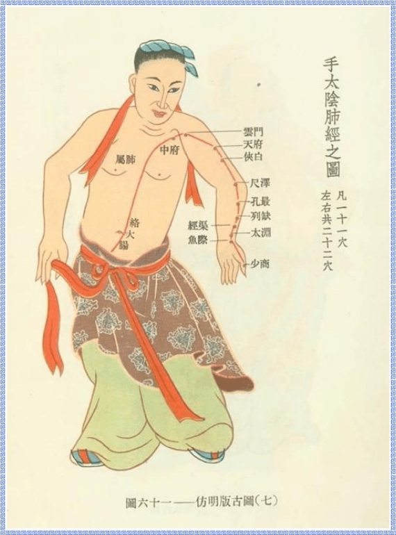 Graph of Lung Meridian of Hand Taiyin