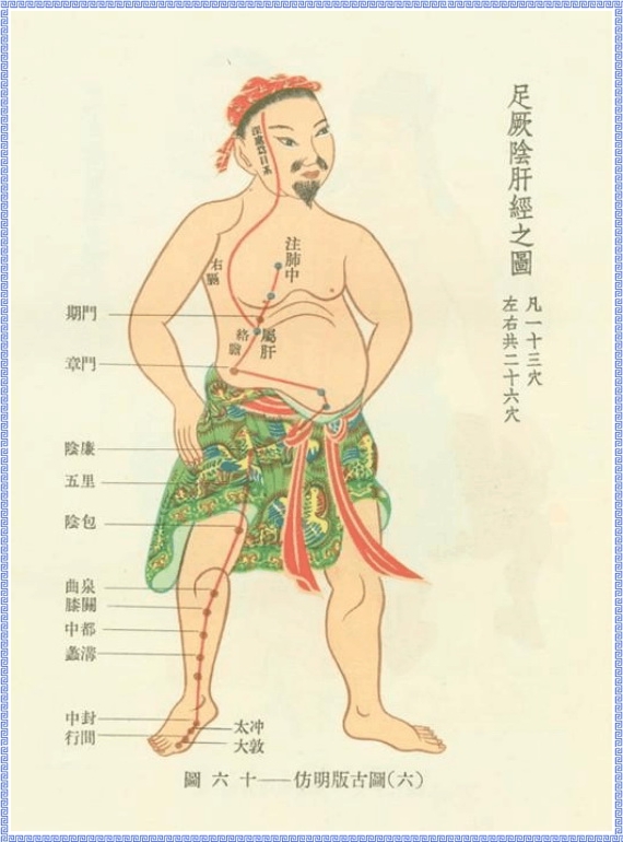 Graph of Liver Meridian of Foot Jueyin