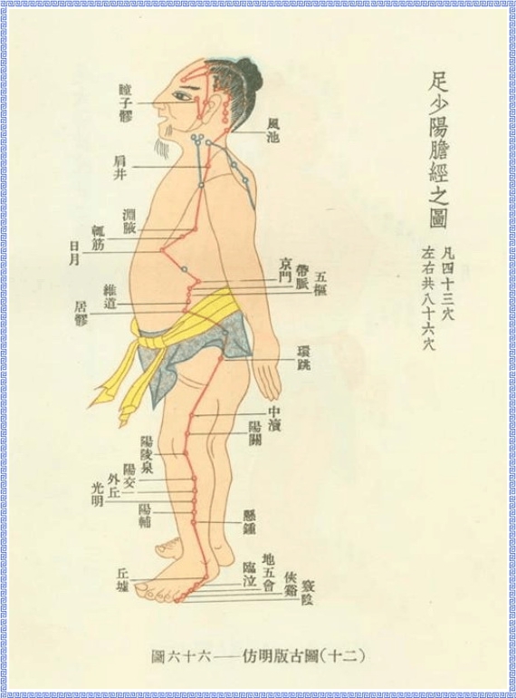 Graph of Gallbladder Meridian of Foot Shaoyang