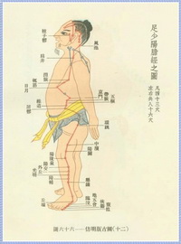 Graph of gallbladder meridian