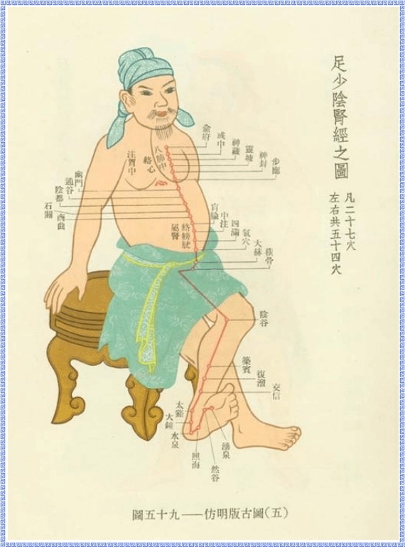 Graph of Kidney Meridian of Foot Shaoyin