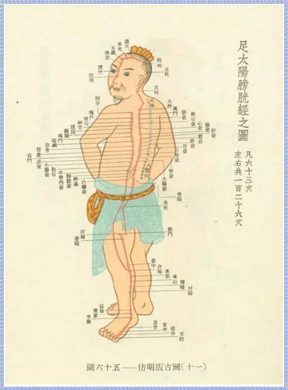 Graph of Bladder Meridian of Foot Taiyang