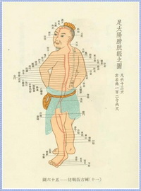 Graph of bladder meridian