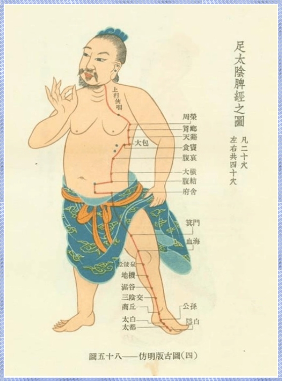 Graph of Spleen Meridian of Foot Taiyin