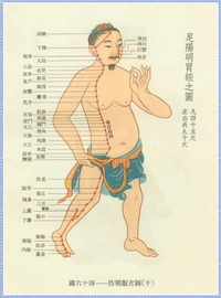 Graph of stomach meridian