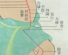 portrait of KI11 to KI16: