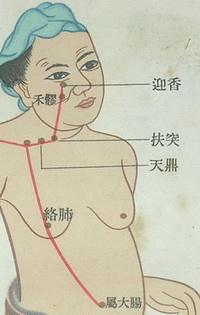 portrait of LI17 to LI20:tianding,futu,kouheliao,yingxiang.