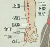 portrait of LI1 to LI10:shangyang,erjian,sanjian,hegu,yangxi,pianli,wenliu,xialian,shanglian,shousanli.