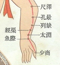 portrait of LU5 to LU11:chize,kongzui,lieque,jingqu,taiyuan,yuji,shaoshang.