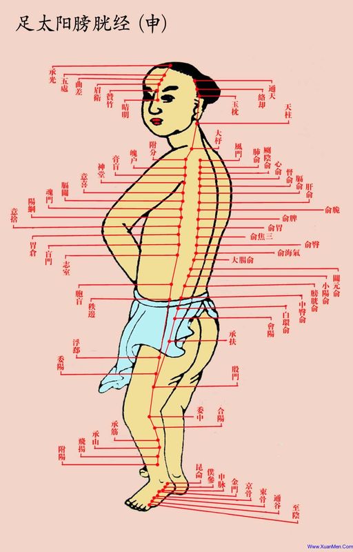ancient portrait of bladder meridian