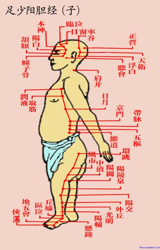 ancient portrait of gallbladder meridian