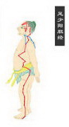 gallbladder meridian of foot shaoyang Icon
