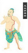 spleen meridian of foot taiyin Icon