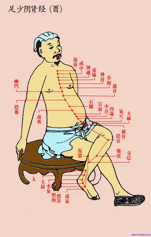 ancient portrait of kidney meridian