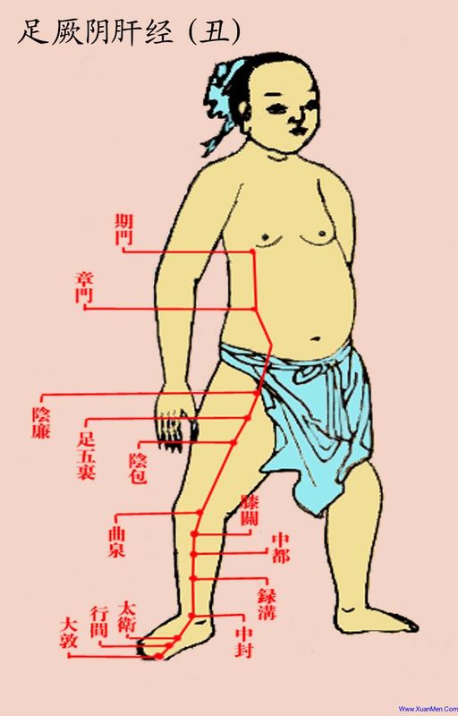 ancient portrait of liver meridian
