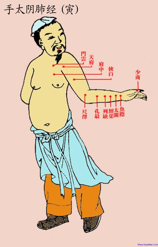 ancient portrait of lung meridian