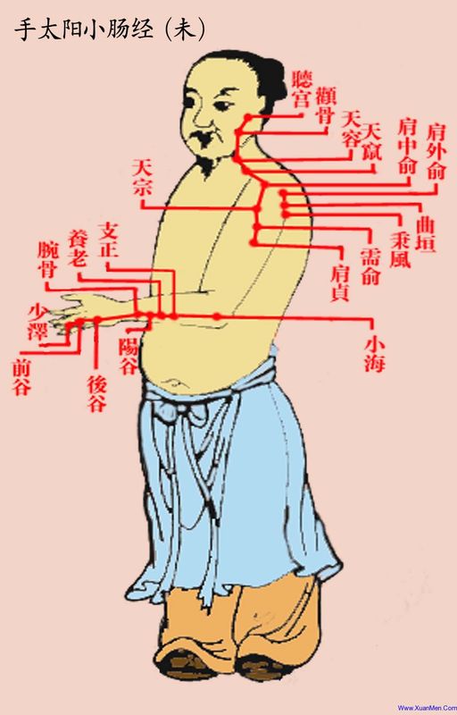 ancient portrait of small intestine meridian