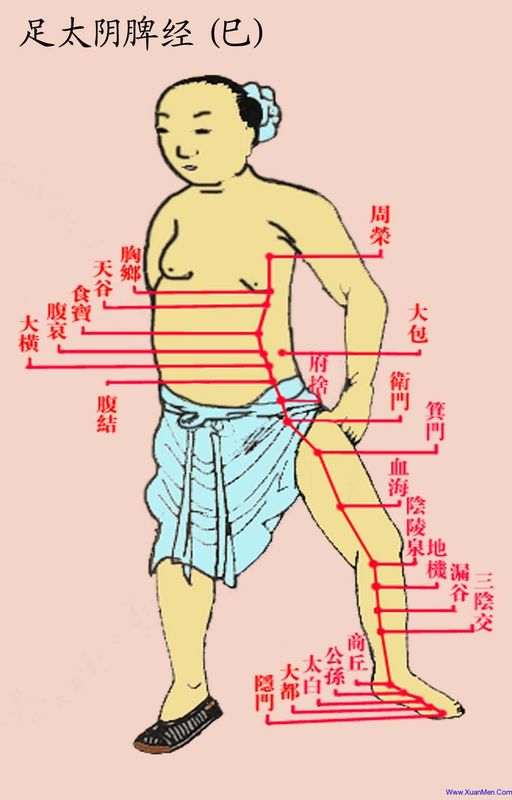 ancient portrait of spleen meridian